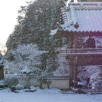 初めてみる福厳寺の雪景色