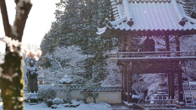 初めてみる福厳寺の雪景色